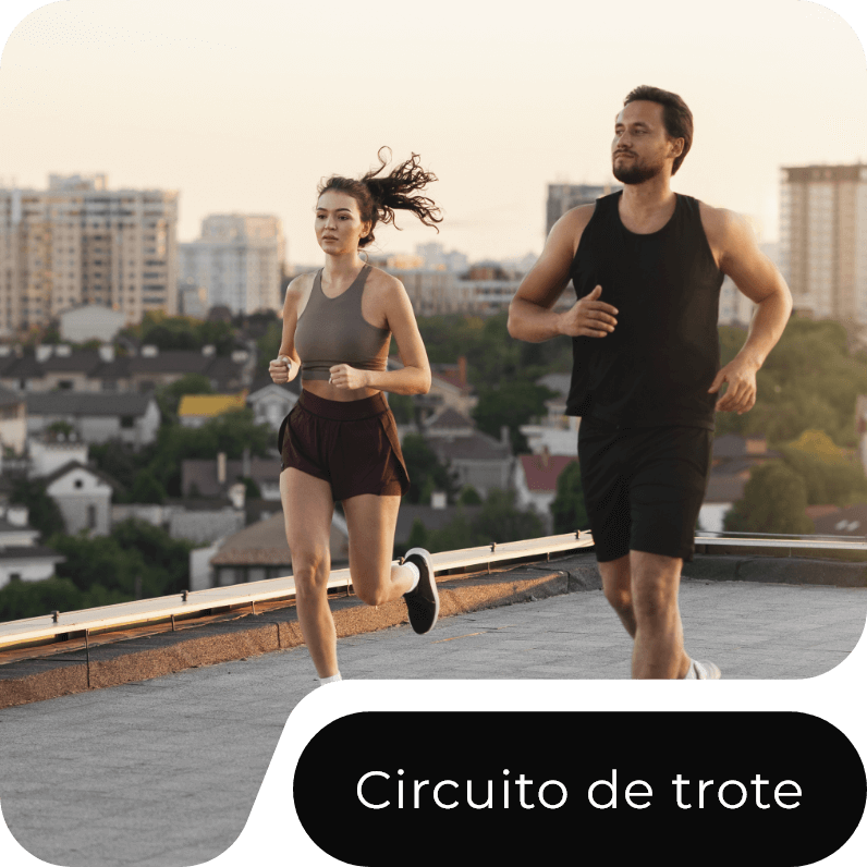 Circuito de trote