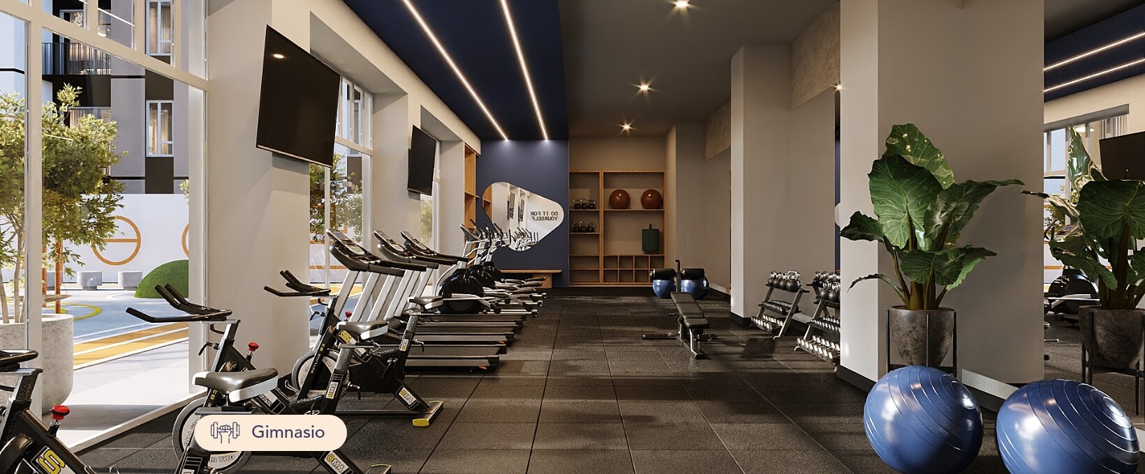 Gimnasio